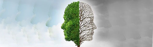Techniques for Cognitive Behaviour Therapy